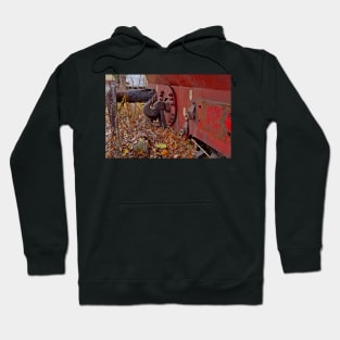 Disused loco, Romania Hoodie